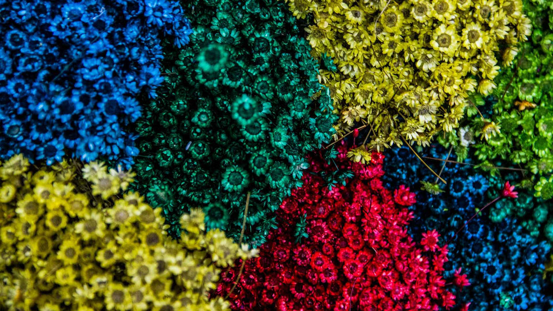 top shot of blooming flowers in assorted colors